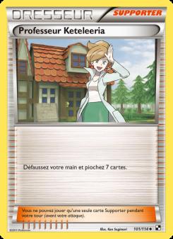 Professeur Keteleeria card