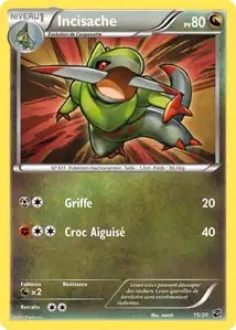 Incisache card
