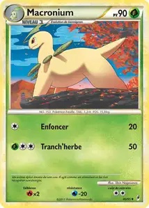 Macronium card