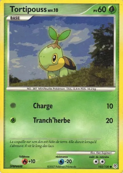 Tortipouss card