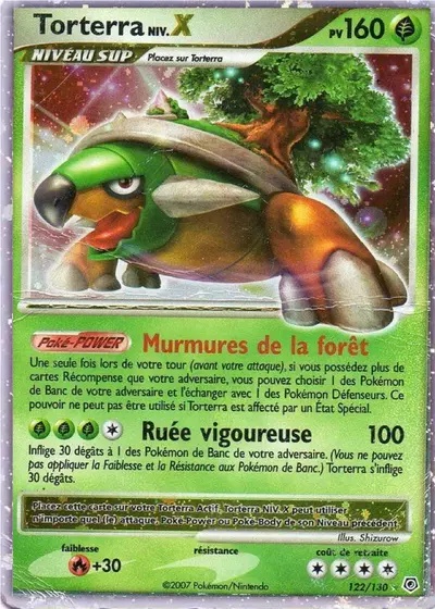 Torterra card