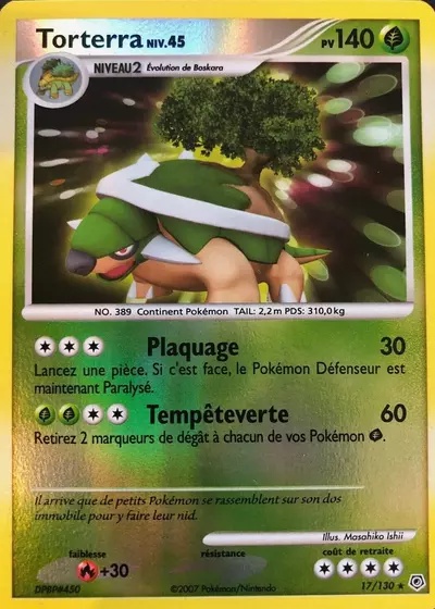 Torterra card