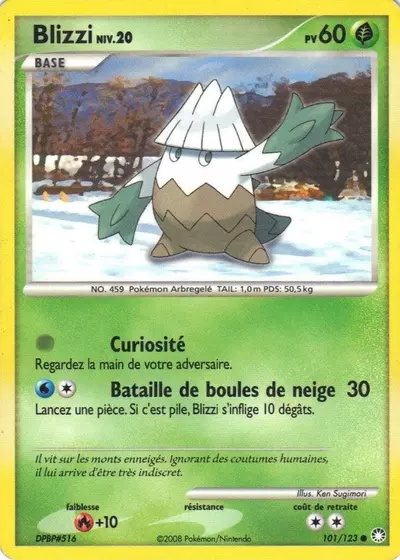 Blizzi card