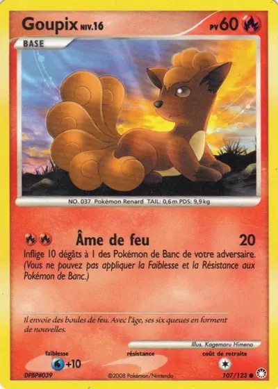 Goupix card