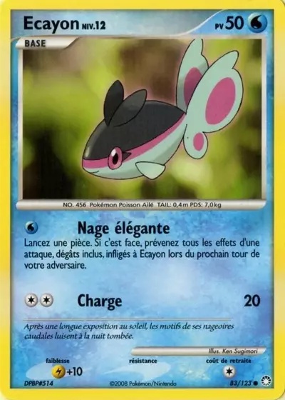 Ecayon card