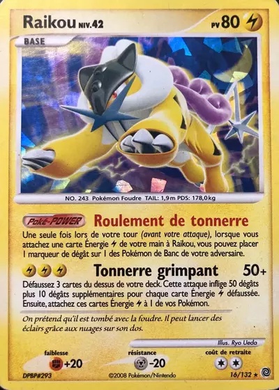 Raikou card