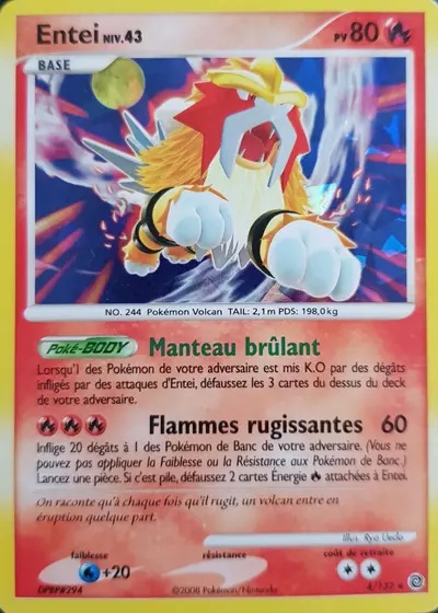 Entei card