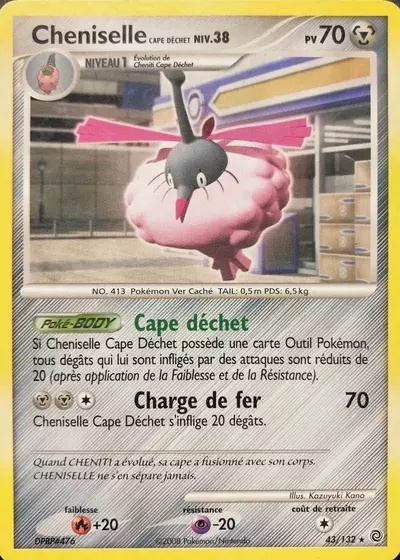 Cheniselle Cape Déchet card