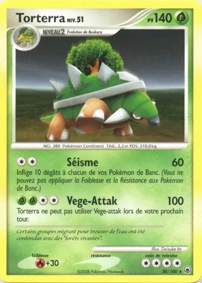 Torterra card