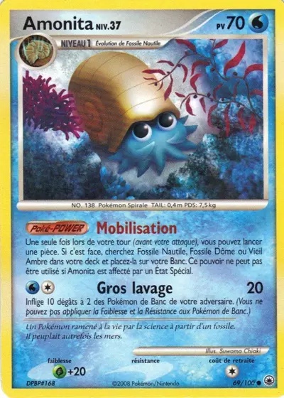 Amonita card