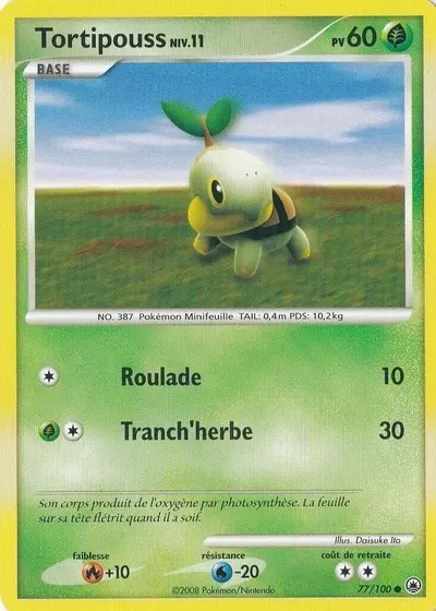 Tortipouss card