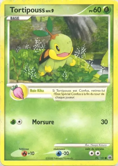 Tortipouss card
