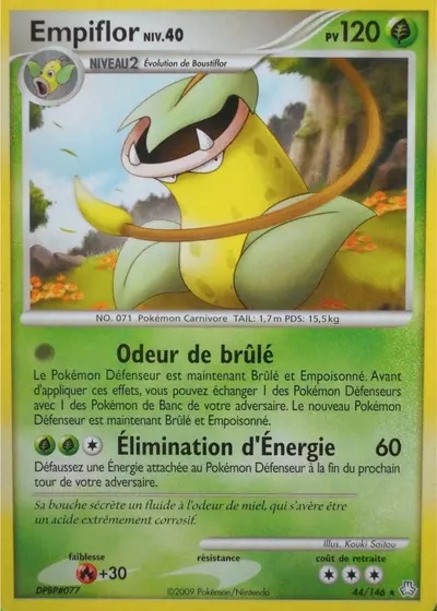 Empiflor card
