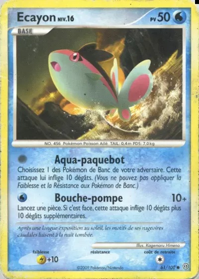 Ecayon card