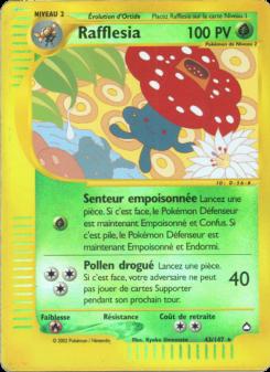Rafflesia card
