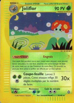 Joliflor card