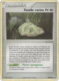 Fossile racine card