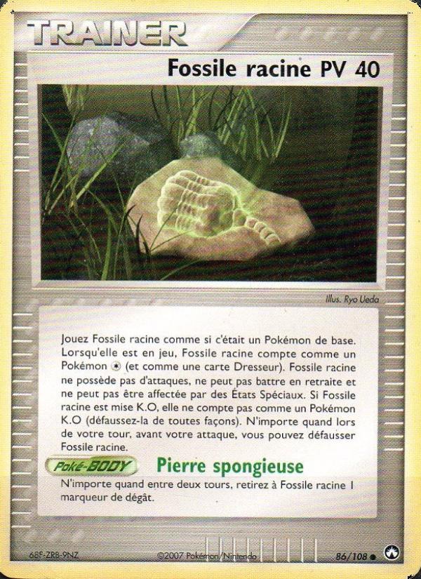 Fossile racine card