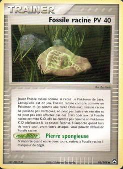 Fossile racine card