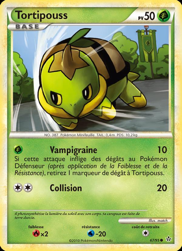 Tortipouss card