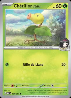 Chétiflor d'Erika card