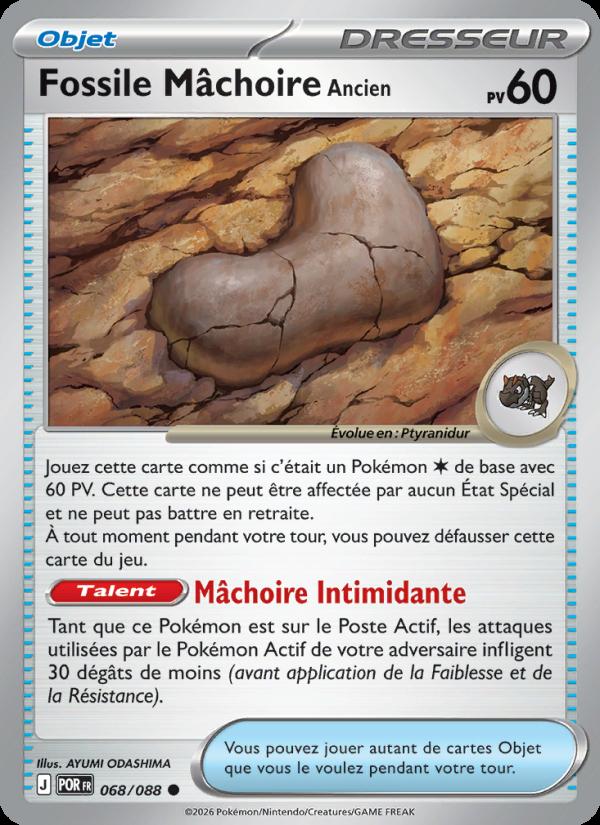 Fossile Mâchoire Ancien card