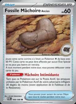 Fossile Mâchoire Ancien card