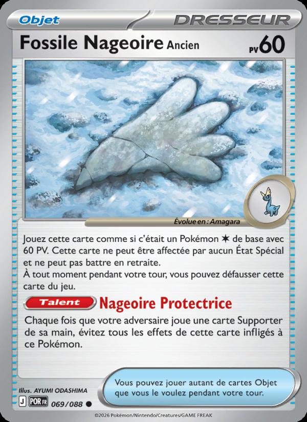 Fossile Nageoire Ancien card