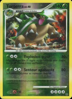 Torterra card