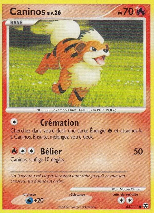 Caninos Niv. 26 card