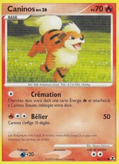 Caninos Niv. 26 card