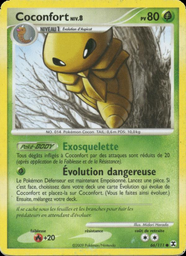 Coconfort Niv. 8 card