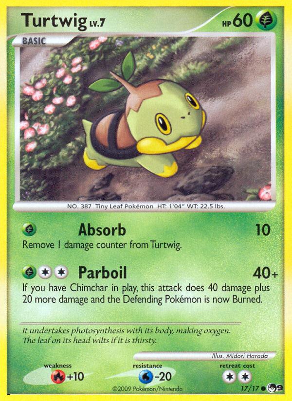 Tortipouss card