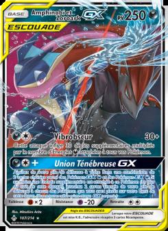Amphinobi et Zoroark GX card