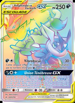Amphinobi et Zoroark GX card