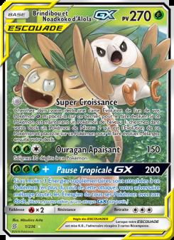 Brindibou et Noadkoko d’Alola GX card