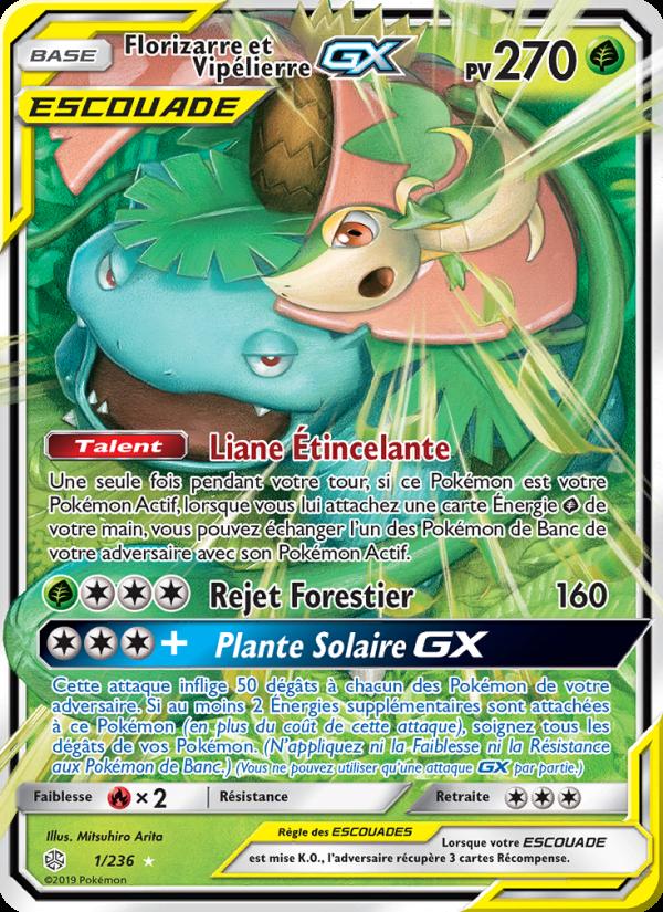 Florizarre et Vipélierre GX card