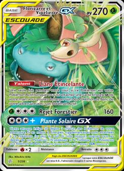 Florizarre et Vipélierre GX card