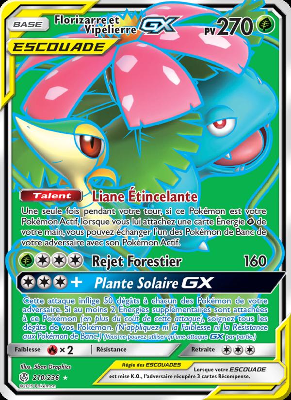 Florizarre et Vipélierre GX card