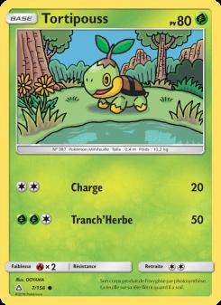 Tortipouss card
