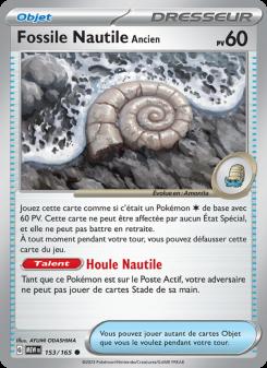 Fossile Nautile Ancien card