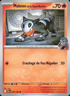 Malosse de la Team Rocket card