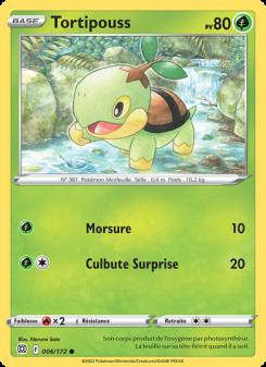 Tortipouss card