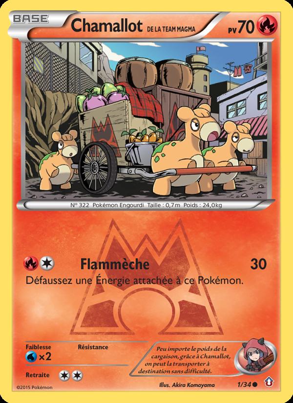 Chamallot de la Team Magma card